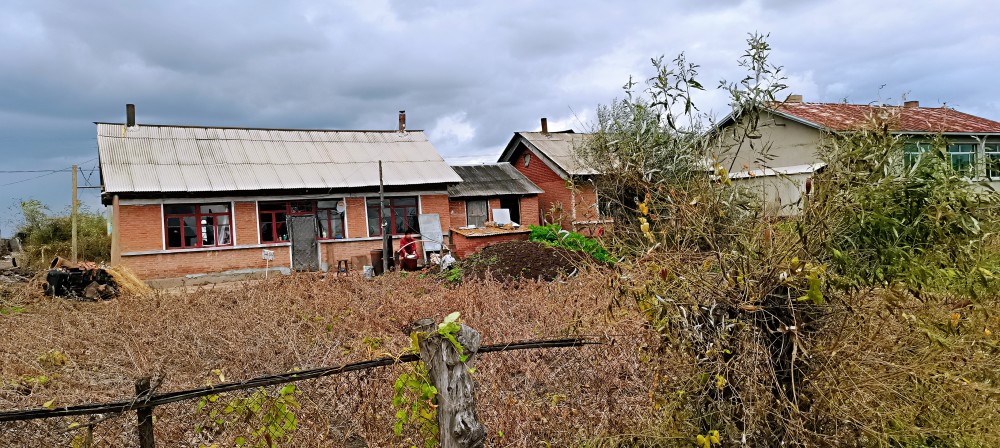 真實記錄現在的東北農村生活,現在村屯房屋建築是什麼樣