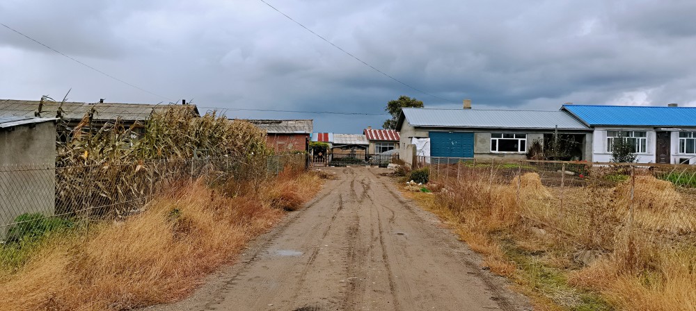 真实记录现在的东北农村生活现在村屯房屋建筑是什么样