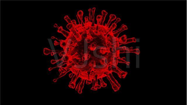 群体免疫|全世界首例！有人2次感染已身亡，特朗普群体免疫构想破产了