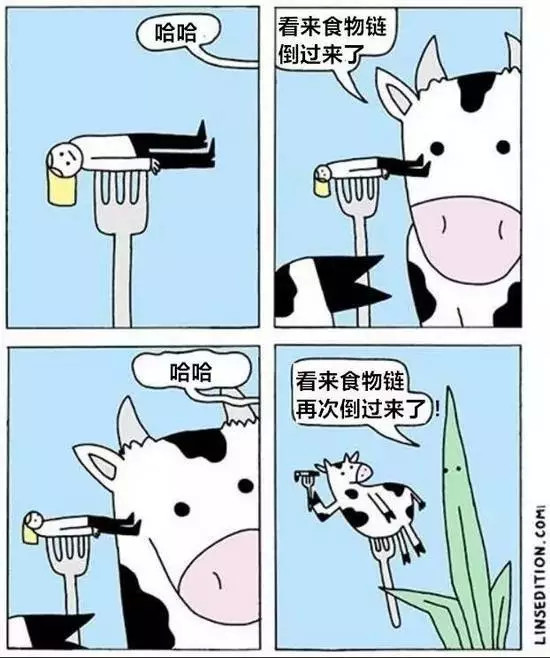 一组冷幽默漫画,结局往往出乎意料!