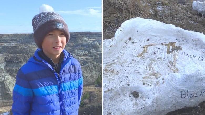 远足|加拿大12岁男孩与父亲远足，发现6900万年前恐龙化石