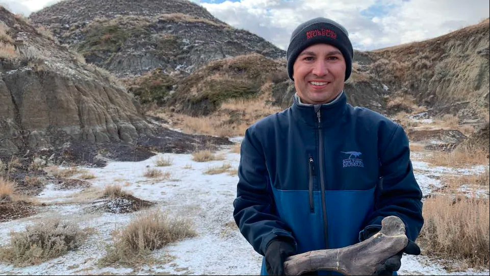 远足|加拿大12岁男孩与父亲远足，发现6900万年前恐龙化石