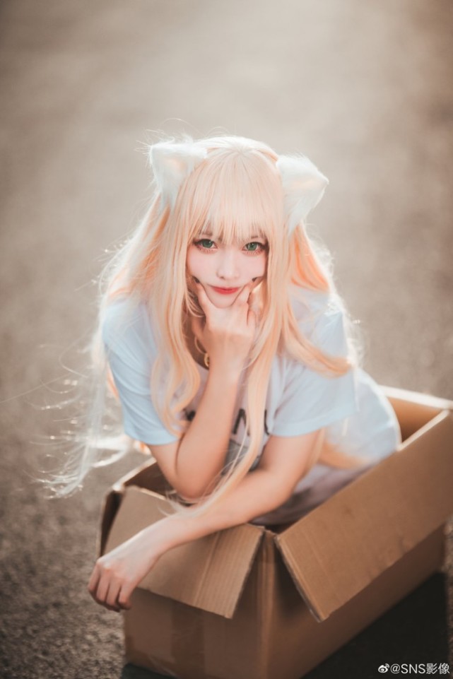 cos谁家一起的可爱猫咪