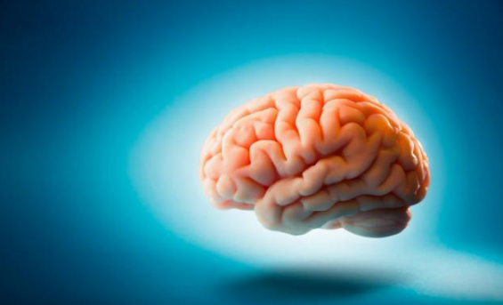 脑梗|哪些食物是脑梗的天敌，为你讲出预防脑梗的健康饮食真相