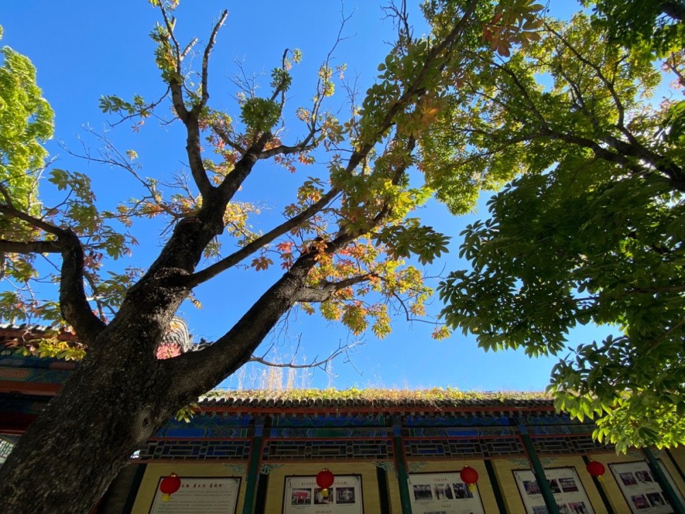 云居寺|千年云居寺：古刹秋景，禅房花木 随手一拍就是大片