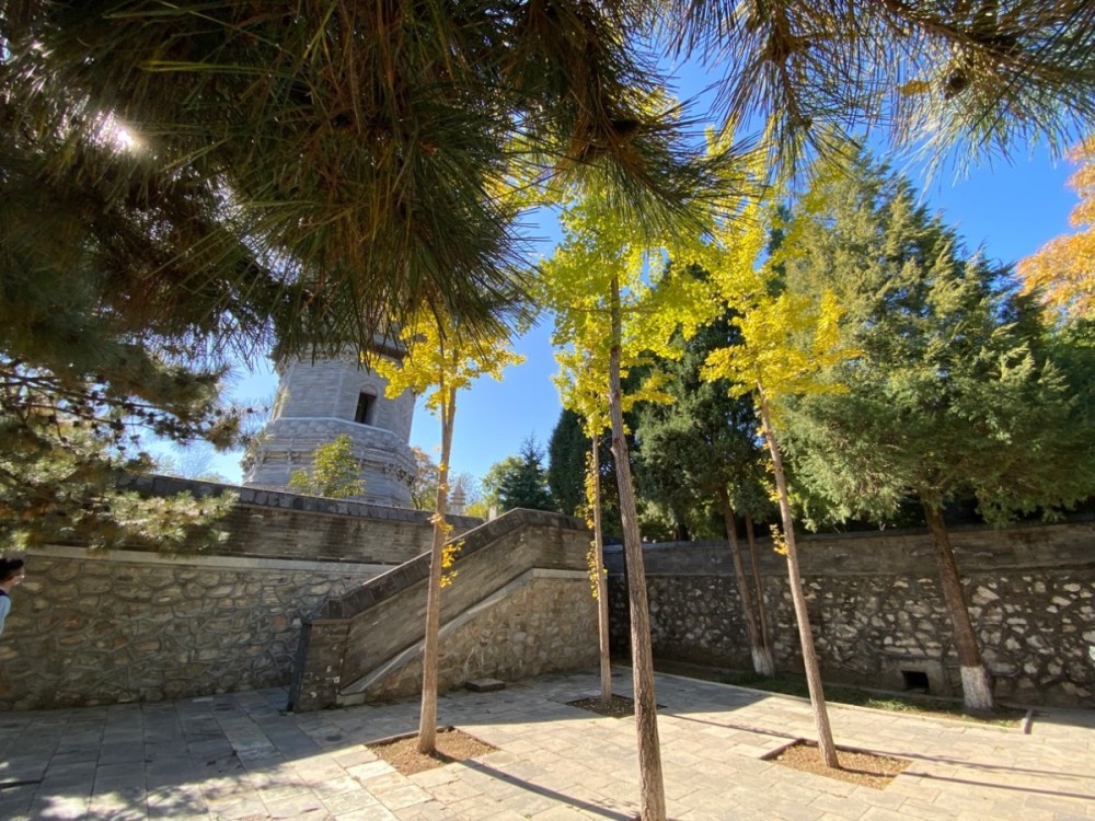 云居寺|千年云居寺：古刹秋景，禅房花木 随手一拍就是大片