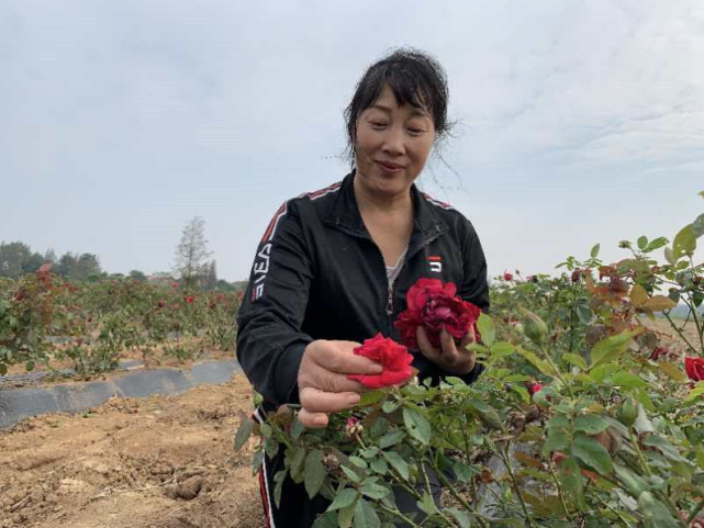 美丽花开致富路云梦县清明河乡三港村刘云香的脱贫故事