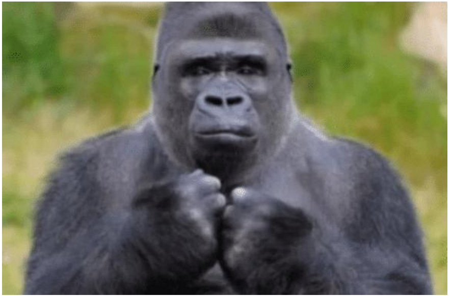 科学家|人类跟猩猩基因近似，女科学家为验证能否有后代，不惜参与实验！