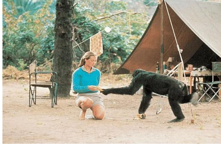 科学家|人类跟猩猩基因近似，女科学家为验证能否有后代，不惜参与实验！