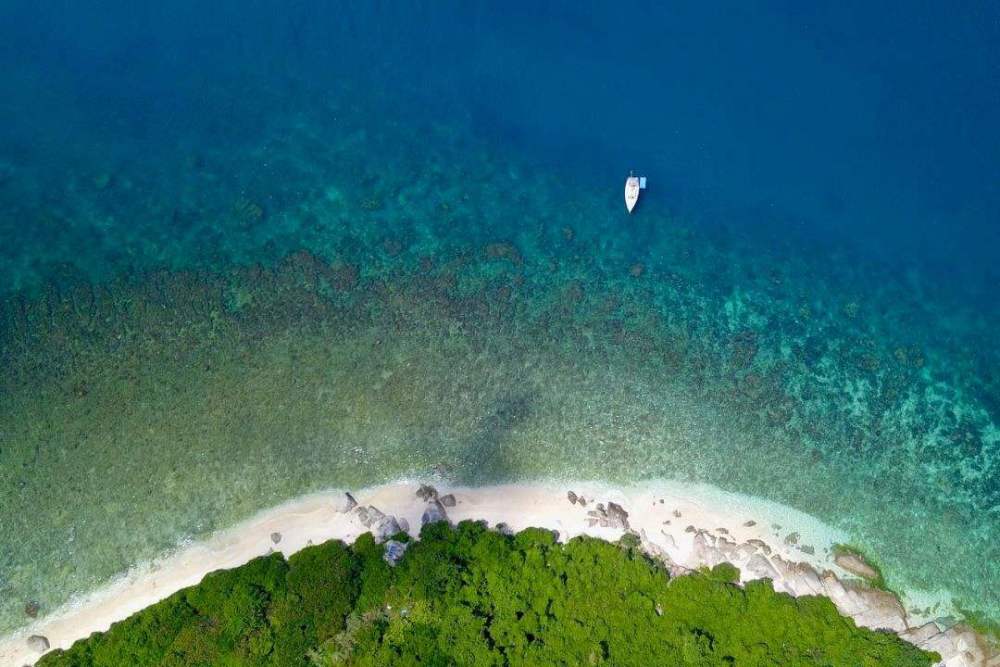 鲸鱼|价值超50万的鲸鱼粪便，明明臭烘烘的，为什么会成为龙涎香？