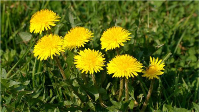 甲状腺结节|甲状腺结节的主要原因被揭开，无非就这4点，记住不要再这样做了