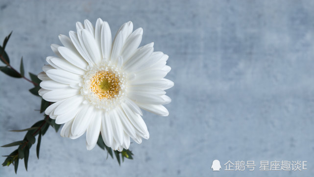 10月18日星座运势不甘平庸 迎难而上的四大星座 星座 摩羯座 巨蟹座 白羊座 天秤座 星座运势