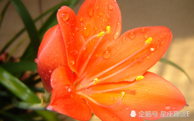 10月18日星座运势 巨蟹全力以赴 天蝎小心谨慎 水瓶积极主动 巨蟹座 星座运势 天蝎座