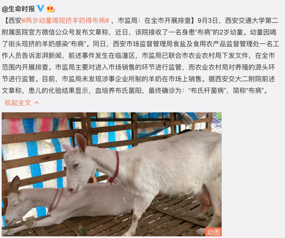 黄曲霉毒素中毒|日常食物中潜在的致命毒素你知多少？