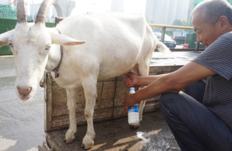 黄曲霉毒素中毒|日常食物中潜在的致命毒素你知多少？