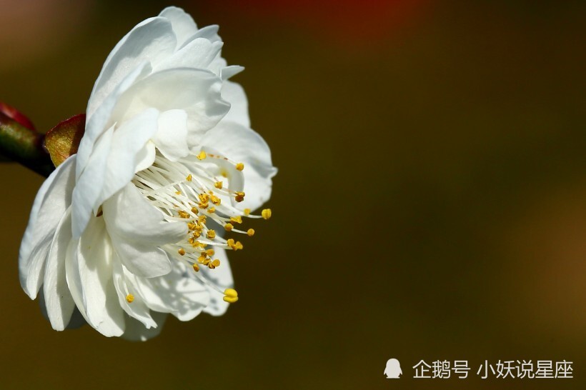 10月18日星座运势打破常规 稳中求胜的四大星座 腾讯新闻