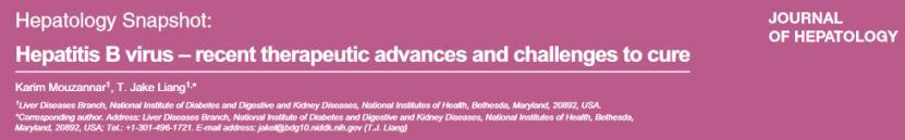 乙肝|乙肝药物权威总结，新药早知道！慢乙肝治愈药物进展总览