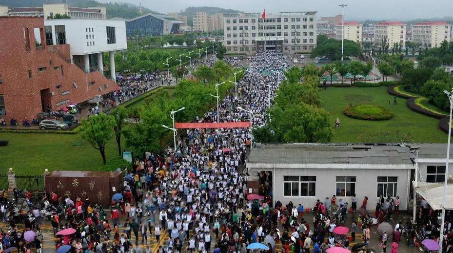 五条人|“五条人”走红：县城审美到底是怎样的？｜媒体札记