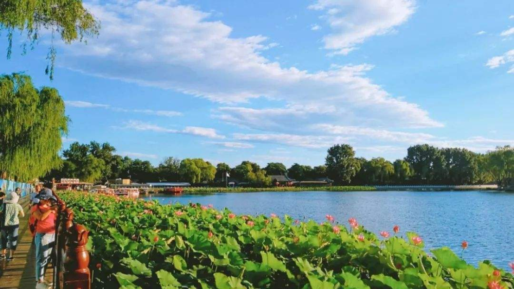 北京|北京一因“电视剧”火了的景区，占地302公顷，被称“北方水乡”