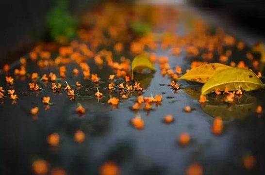 明-黃淳耀月下口占-其一復見離別處,蟲聲陰雨秋.