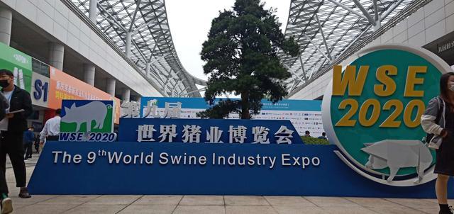 李曼|发现李曼大会最靓的“仔”！各个有把金刚钻