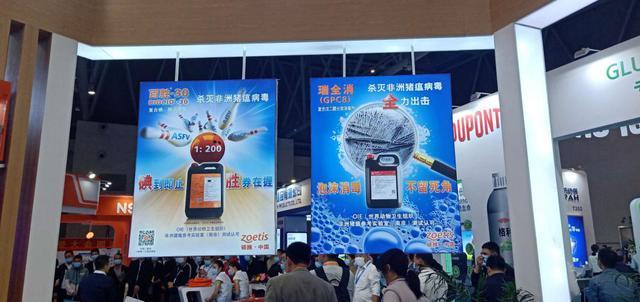 李曼|发现李曼大会最靓的“仔”！各个有把金刚钻