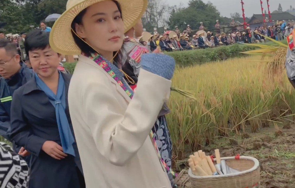 张馨予|张馨予官宣新身份，仅仅3个字引粉丝期待，能看出何捷挑老婆的眼光了