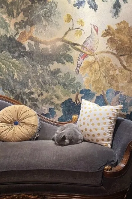 北京|“网友北京上亿豪宅曝光，这些都是什么大户人家？”哈哈哈哈……我酸了！