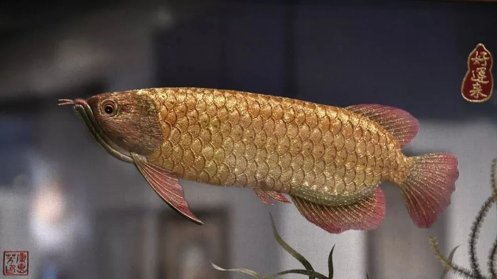 唐卡|历时四年！38米唐卡长卷《五百罗汉》赏析