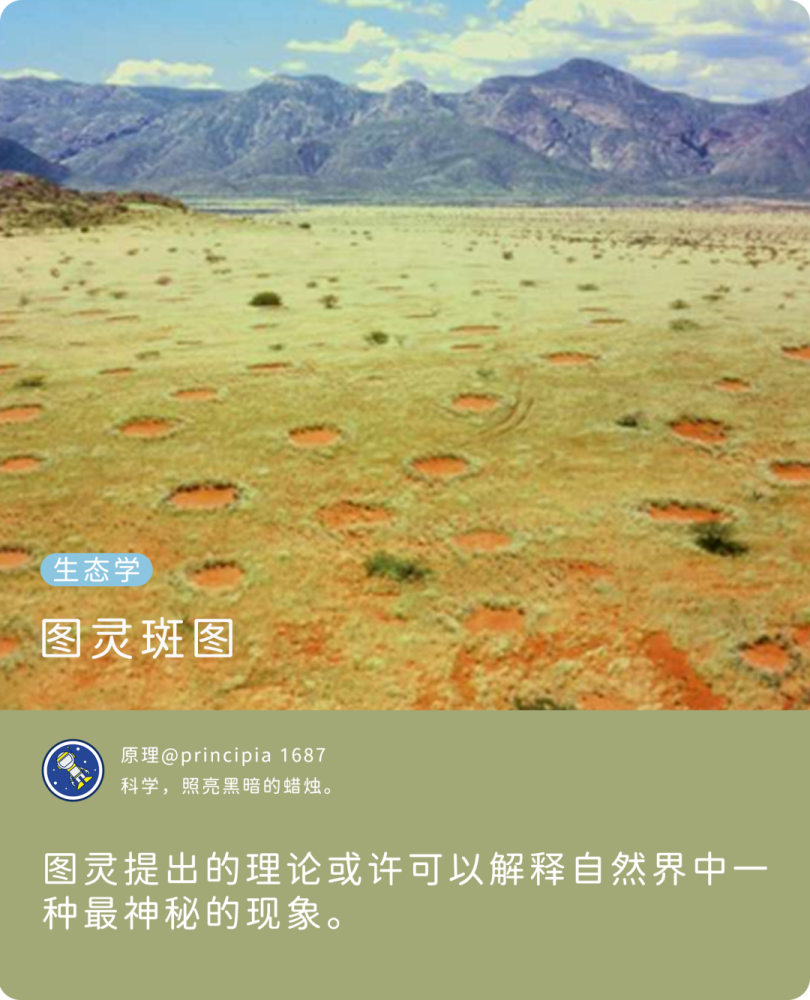 艾伦·图灵|这些神秘圆圈，与图灵的理论有关？