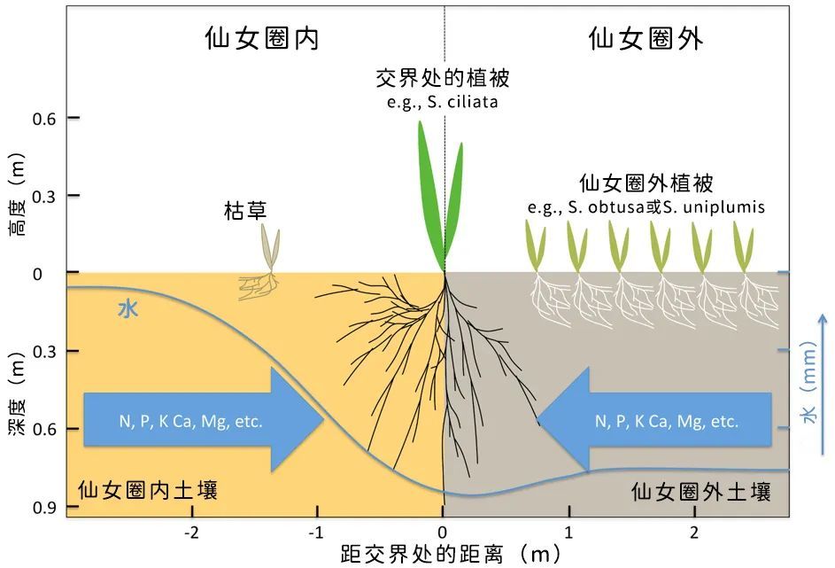 艾伦·图灵|这些神秘圆圈，与图灵的理论有关？