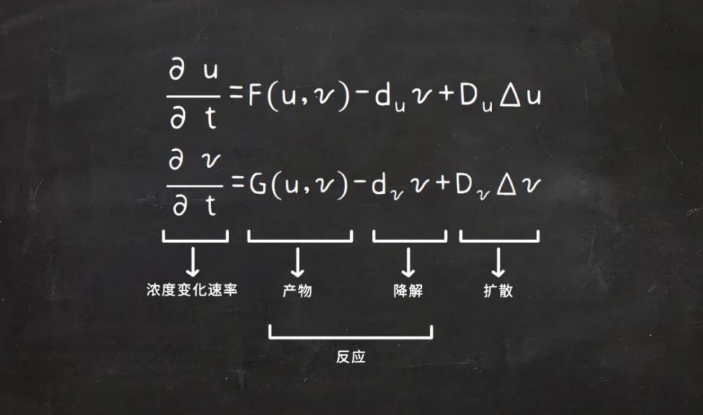 艾伦·图灵|这些神秘圆圈，与图灵的理论有关？