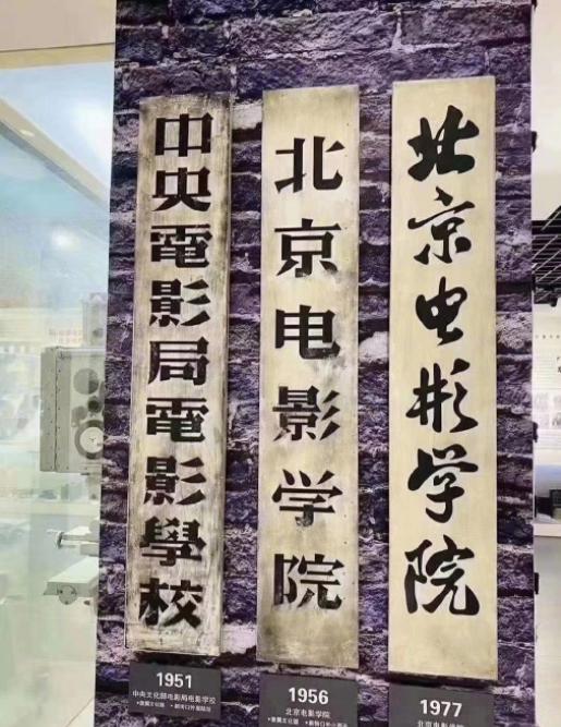 杨紫|杨紫现身北电为母校庆生，穿薄纱透视裙气质飒，晒毕业手册被写性别男