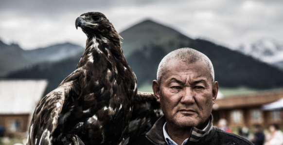 四九城的贝勒爷,熬鹰偷懒,最终自食恶果,被鹰要了命