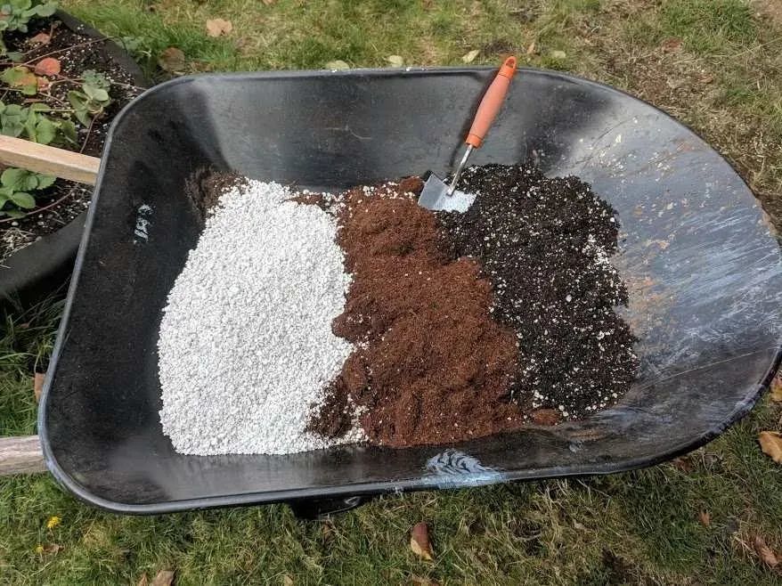 我在家养花常用的几种工具 别光买盆栽植物 后期维护不可少 腾讯新闻