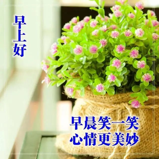 4月29日发朋友圈常用早上好祝福图片带字愿你心中处处有阳光