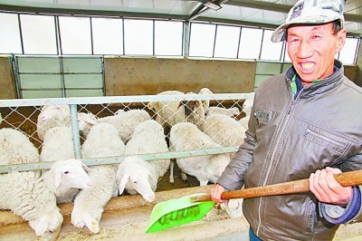 口袋脑袋一起富——宁夏回族自治区泾源县杨岭村的脱贫之路_腾讯新闻