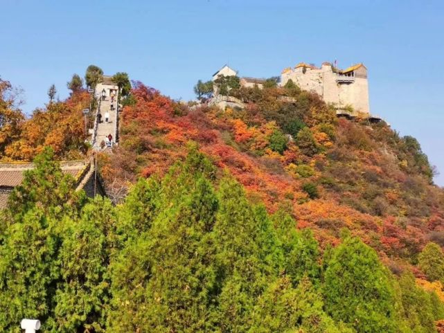 沁园春 赏红叶 外二首 良子 红叶 李世良 林州市