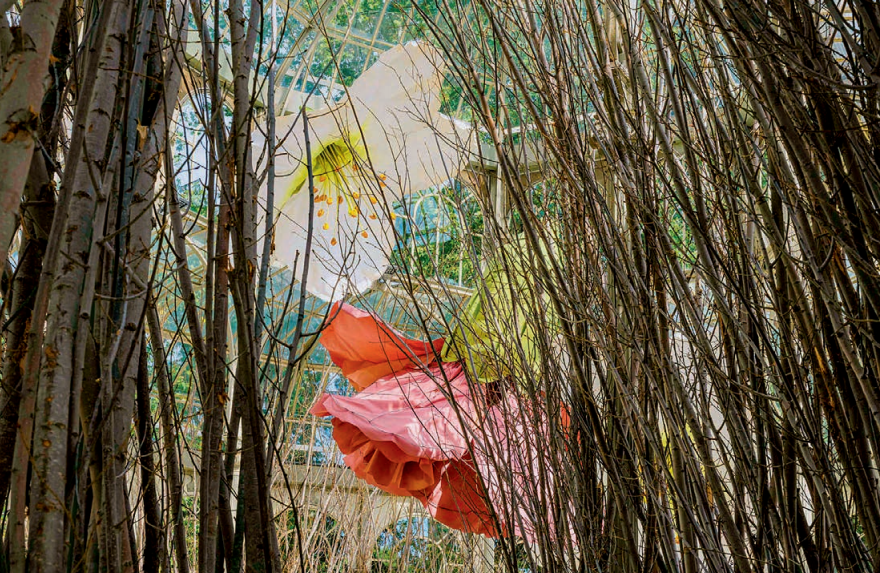 佩特里特·哈里拉伊|佩特里特·哈里拉伊：候鸟