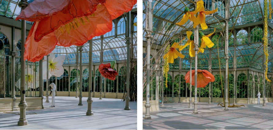 佩特里特·哈里拉伊|佩特里特·哈里拉伊：候鸟