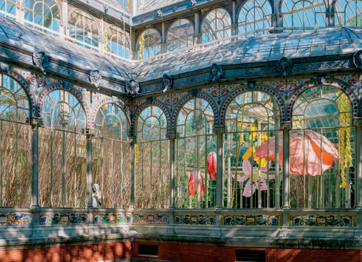 佩特里特·哈里拉伊|佩特里特·哈里拉伊：候鸟