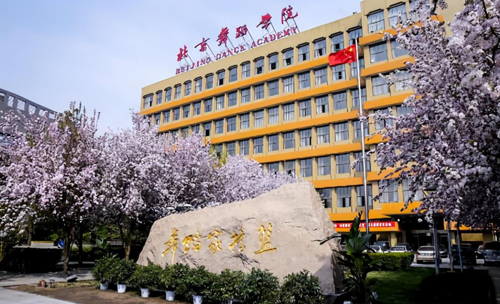 中华人民共和国教育部|中国艺术类大学十大名校