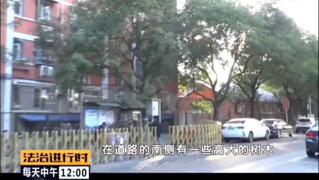 真武庙|男子醉卧街头被轿车碾压致死，家属获赔69万余元