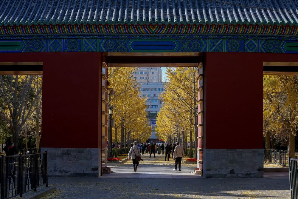 北京|又到赏红季，北京推荐19处特色彩叶景区