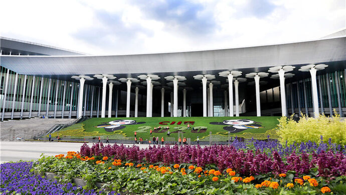 进博会|滚灯、百叶龙、太康道情……这些难得一见的非遗表演将来到进博会