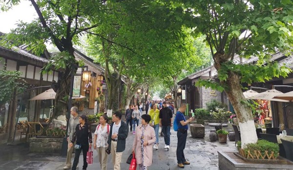 进博会|滚灯、百叶龙、太康道情……这些难得一见的非遗表演将来到进博会