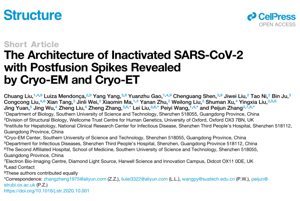 刺突蛋白|Structure｜中国学者揭示灭活SARS-CoV-2的刺突蛋白结构