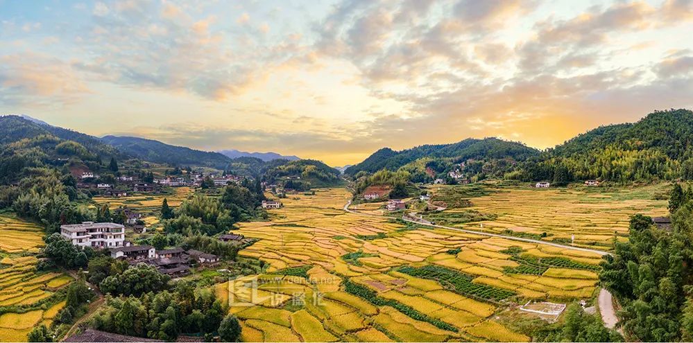 看德化:丰收稻田美如画!_腾讯新闻