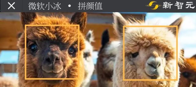 微软小冰测颜值准不准郑爽才得63分较真你就输了