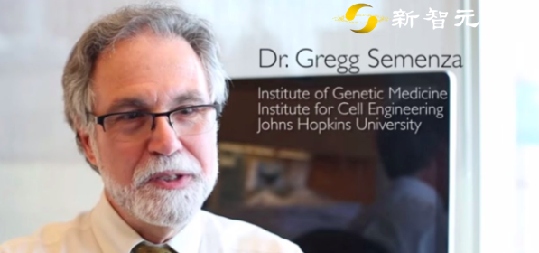 格雷格·塞门扎|2019诺贝尔奖得主塞门扎翻车！论文涉嫌造假，网友：P图才是科研利器？